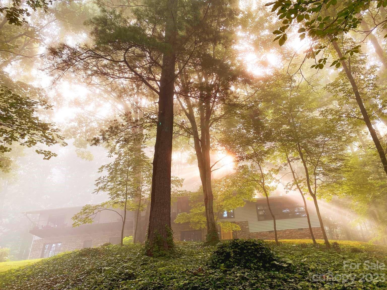 15 Bent Tree Road Asheville NC 28804