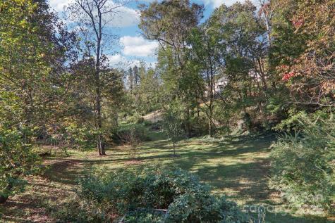12 Mayfield Road Asheville NC 28804