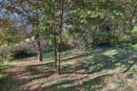 12 Mayfield Road Asheville NC 28804