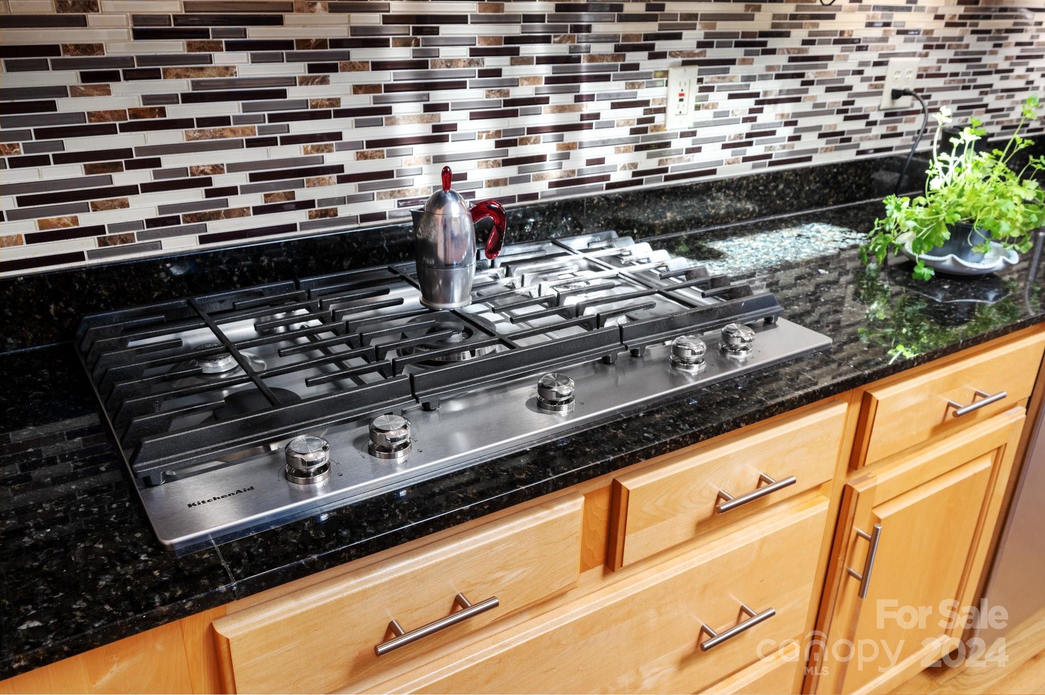 16 Brookwood Road Asheville NC 28804