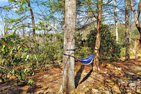 32 Tucker Road Black Mountain NC 28711