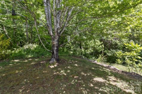 55 Stonebridge Drive Asheville NC 28805