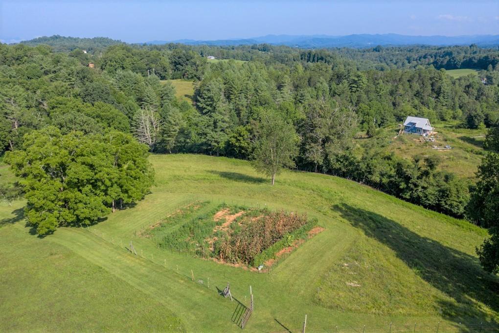 12 Taffie Ridge Weaverville NC 28787