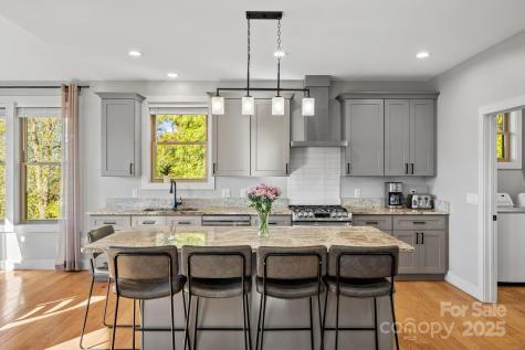 22 Governors View Road Asheville NC 28805