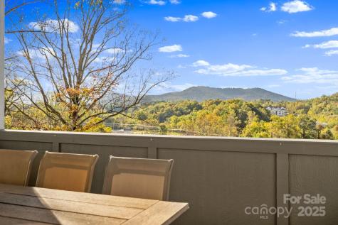 22 Governors View Road Asheville NC 28805