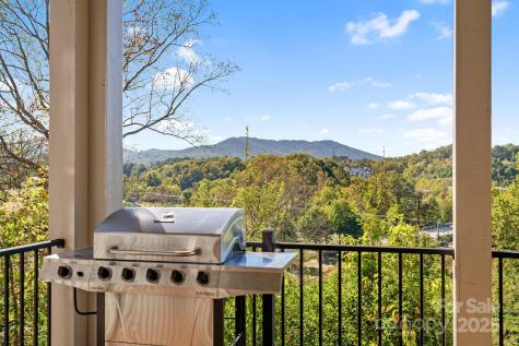 22 Governors View Road Asheville NC 28805