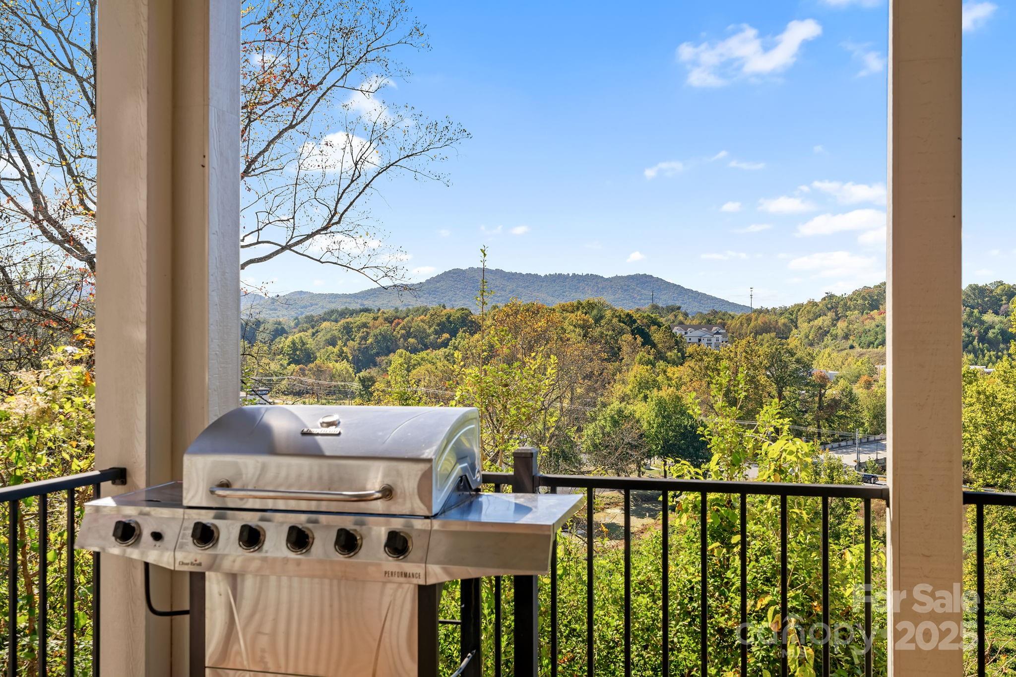 22 Governors View Road Asheville NC 28805