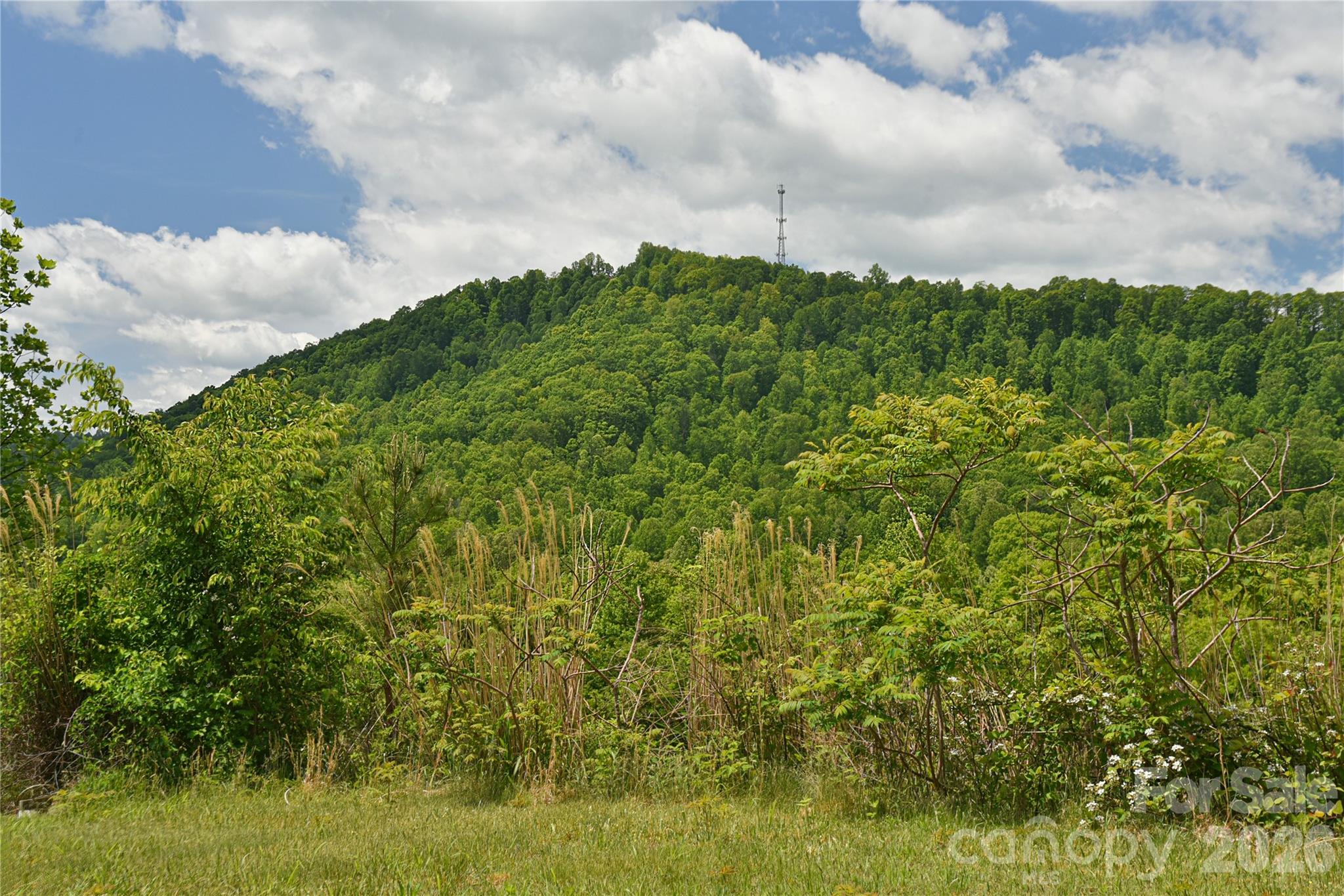 116 Kay Road Flat Rock NC 28731