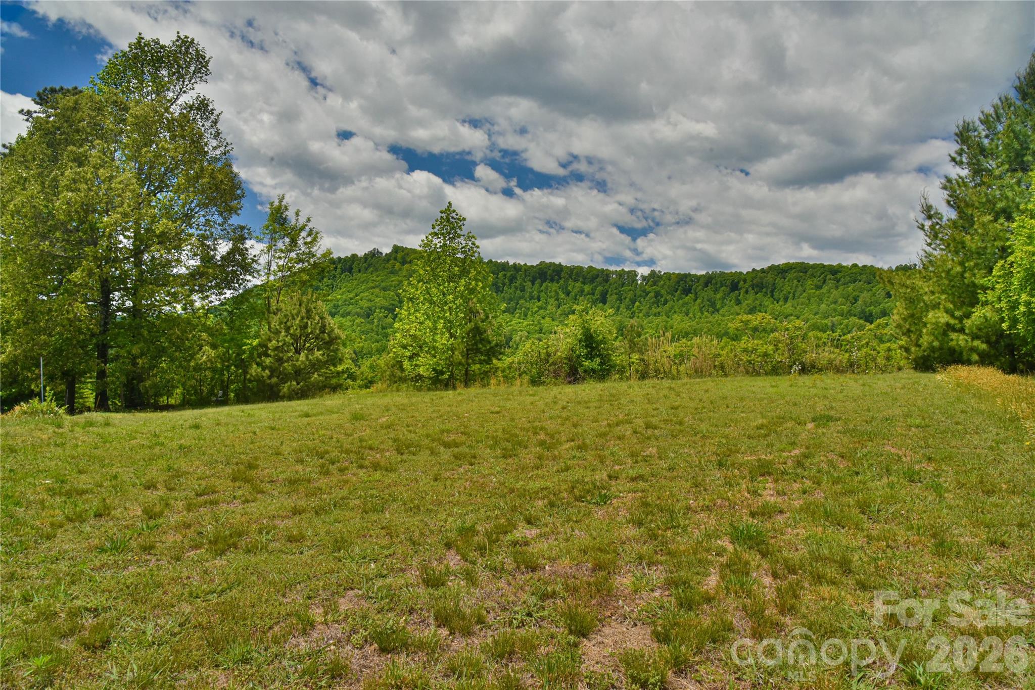 116 Kay Road Flat Rock NC 28731