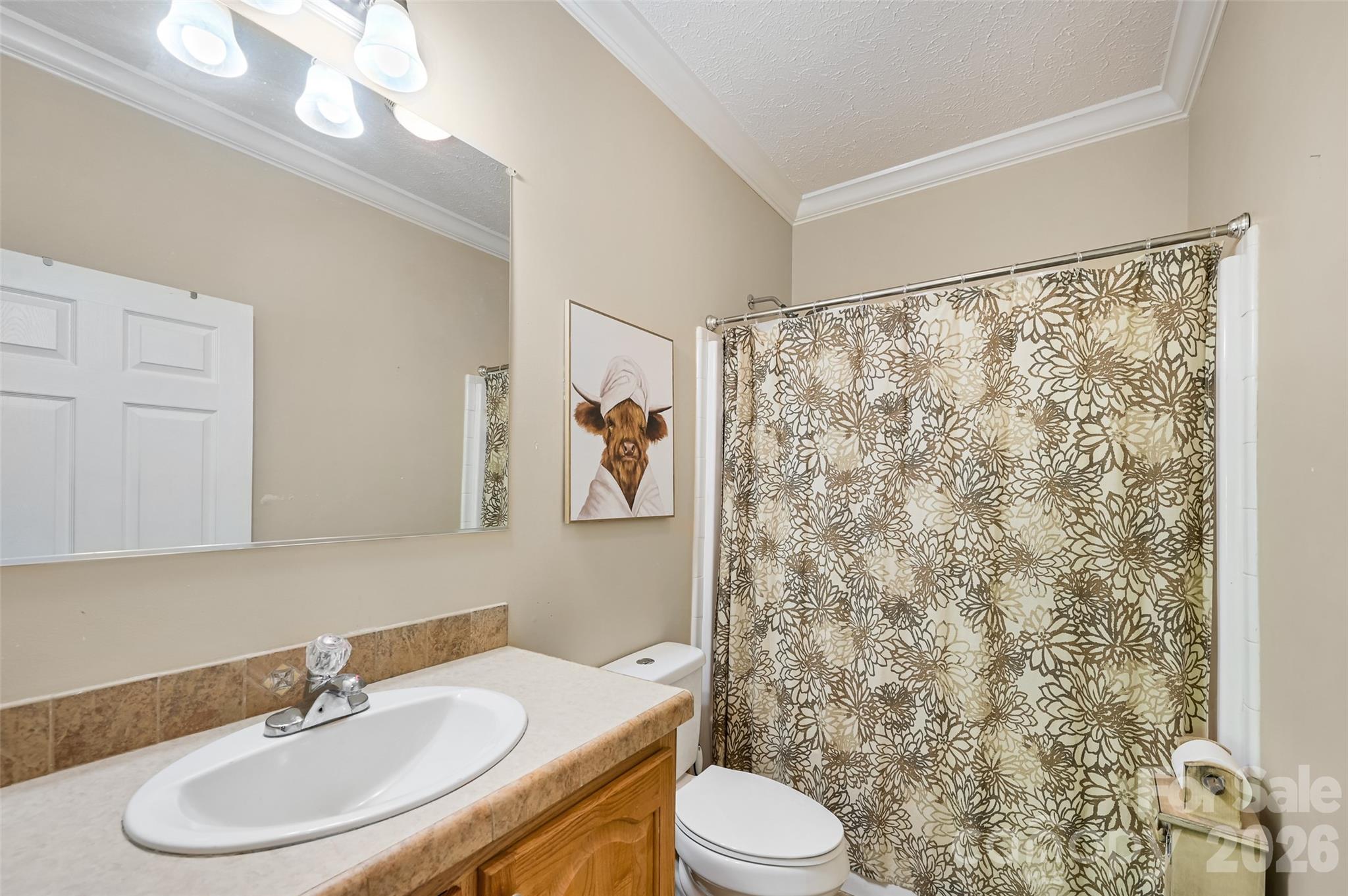 371 Starnes Cove Road Candler NC 28715