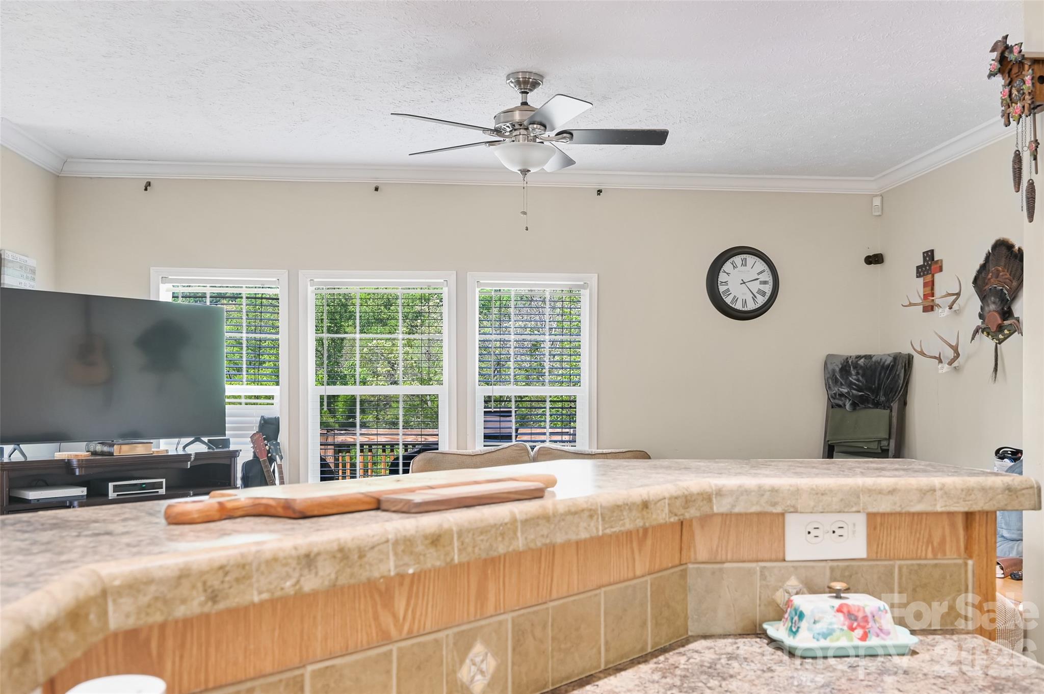 371 Starnes Cove Road Candler NC 28715