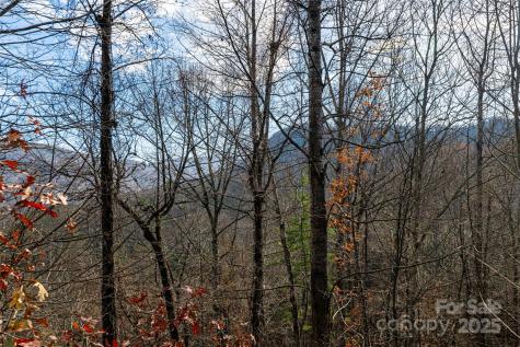 98 Sovereign Lane Fairview NC 28730