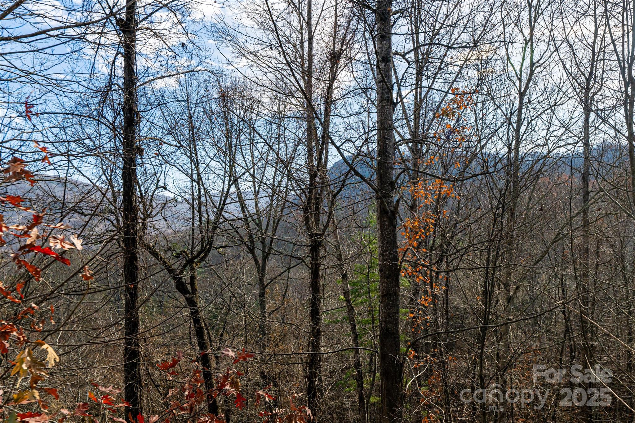 98 Sovereign Lane Fairview NC 28730