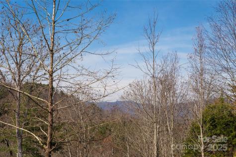 98 Sovereign Lane Fairview NC 28730