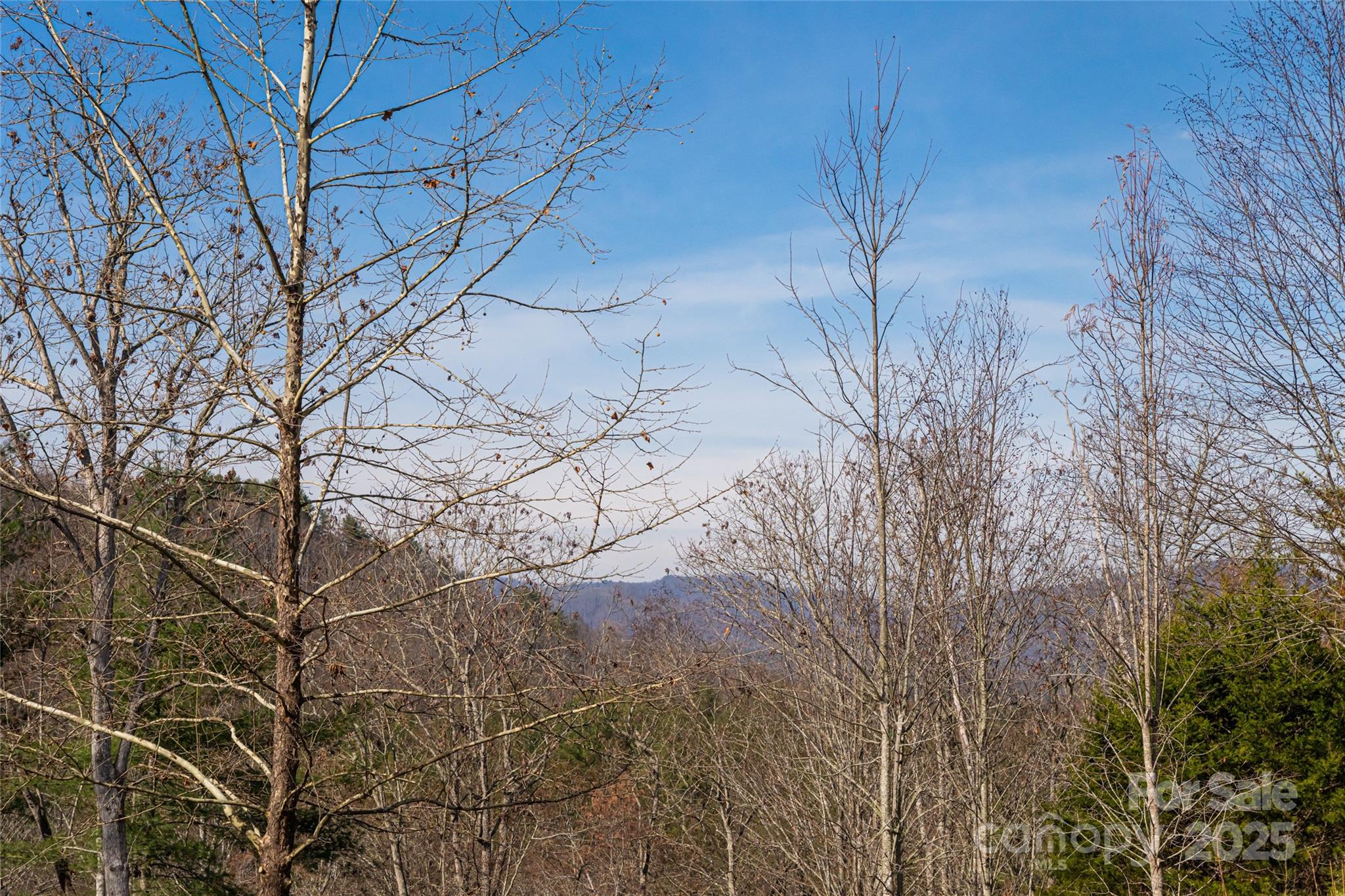 98 Sovereign Lane Fairview NC 28730