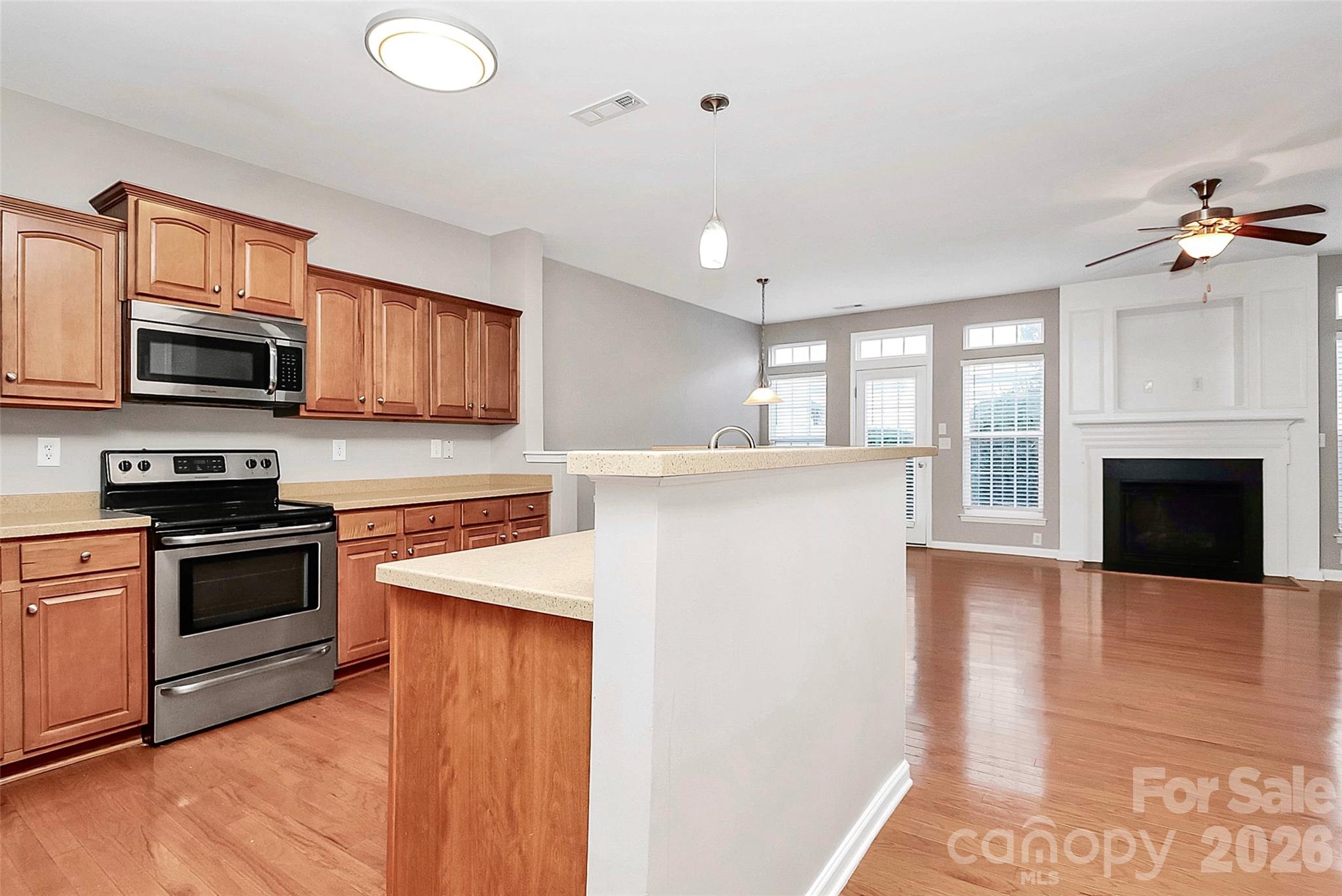 16874 Hugh Torance Parkway Huntersville NC 28078