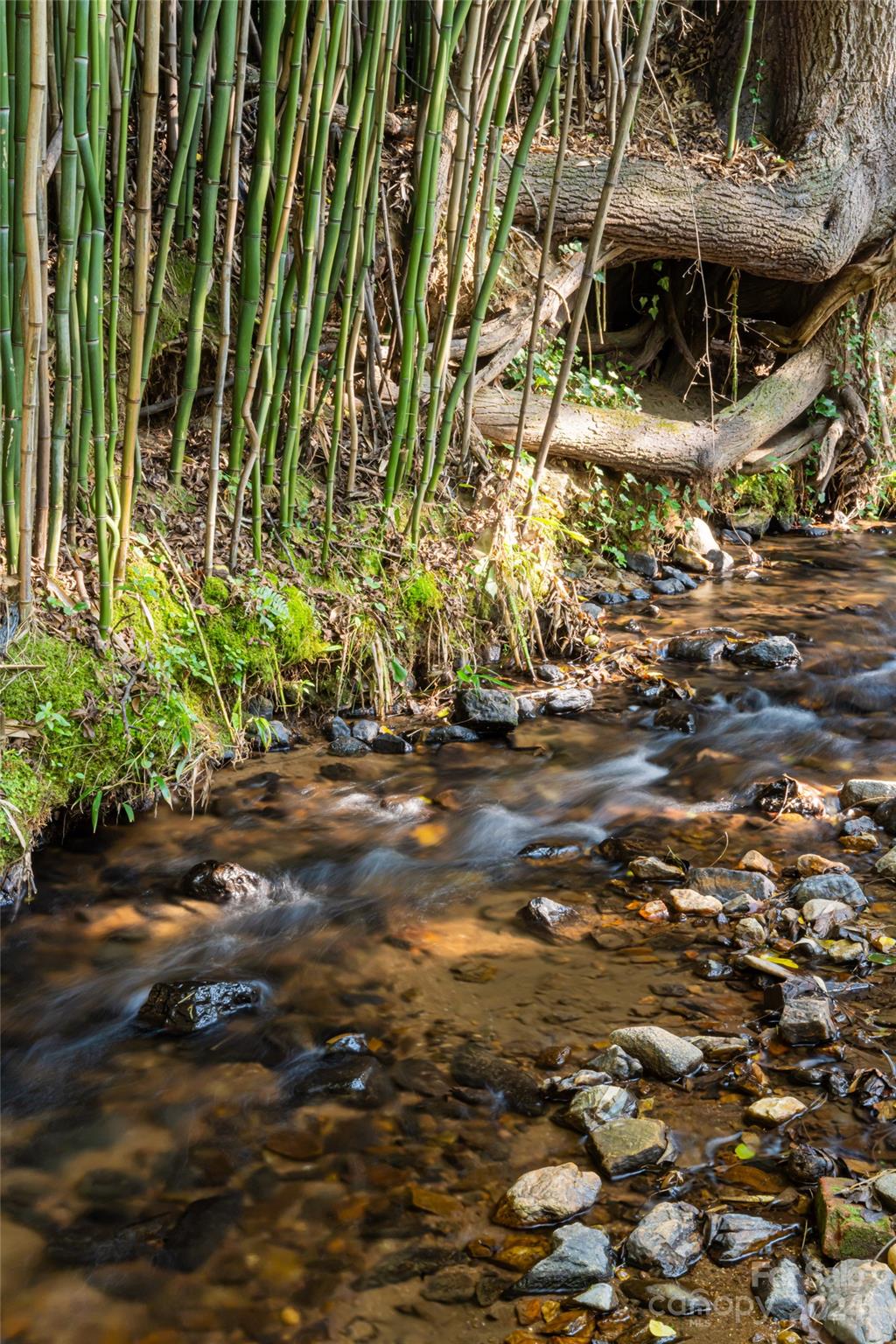 14 Stuart Circle Asheville NC 28804