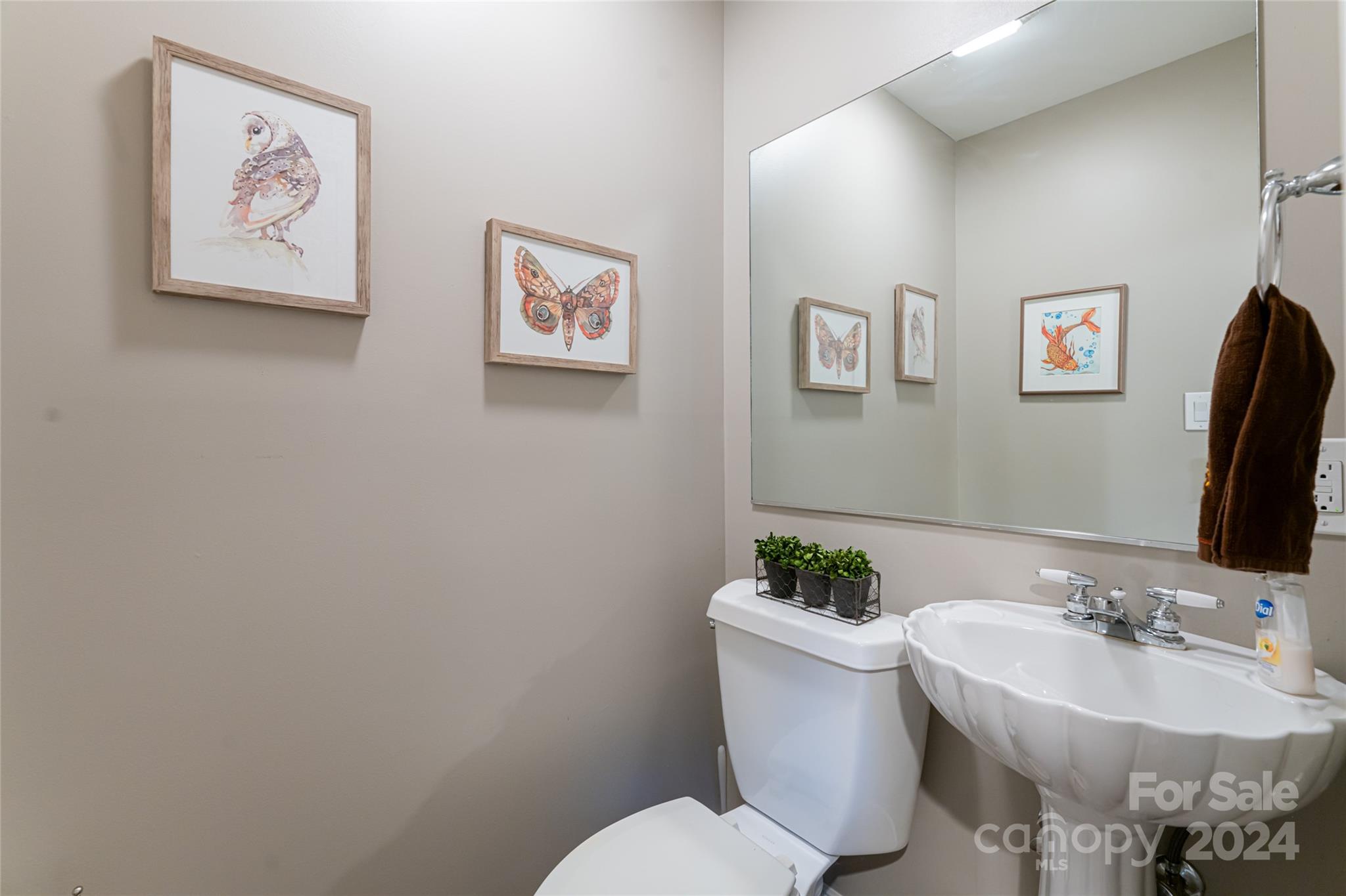 14 Stuart Circle Asheville NC 28804