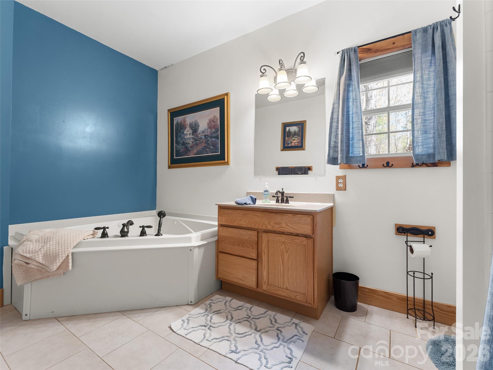 462 Deep Woods Lane Saluda NC 28773