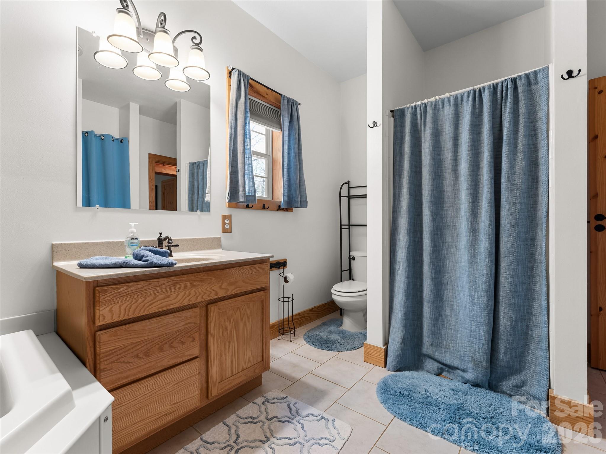 462 Deep Woods Lane Saluda NC 28773