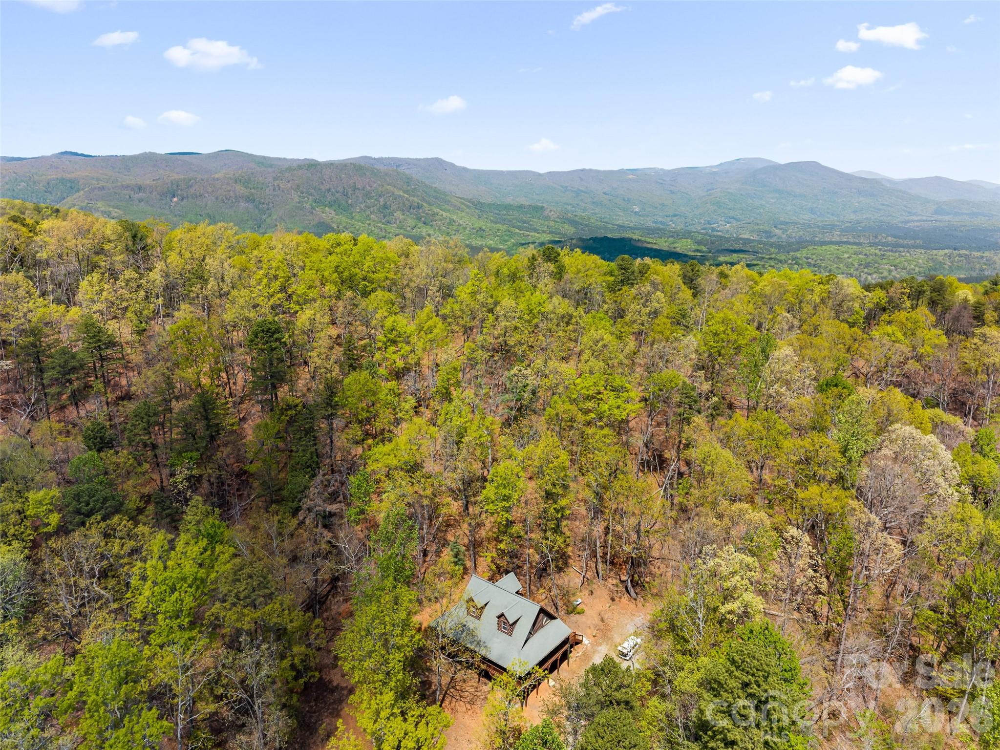 462 Deep Woods Lane Saluda NC 28773