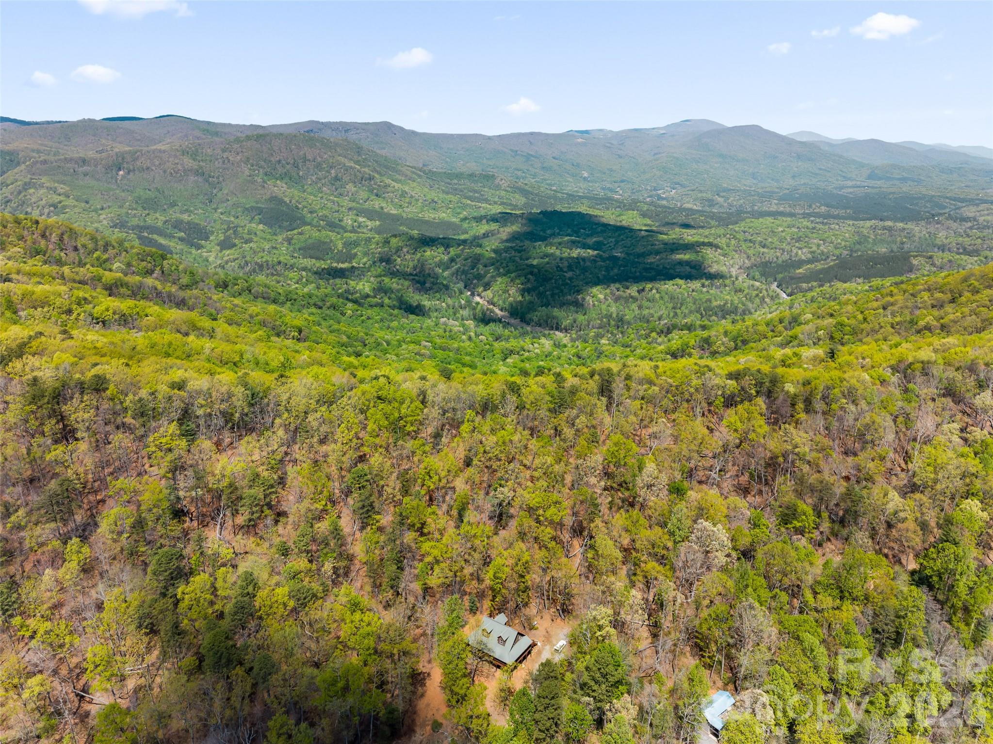 462 Deep Woods Lane Saluda NC 28773