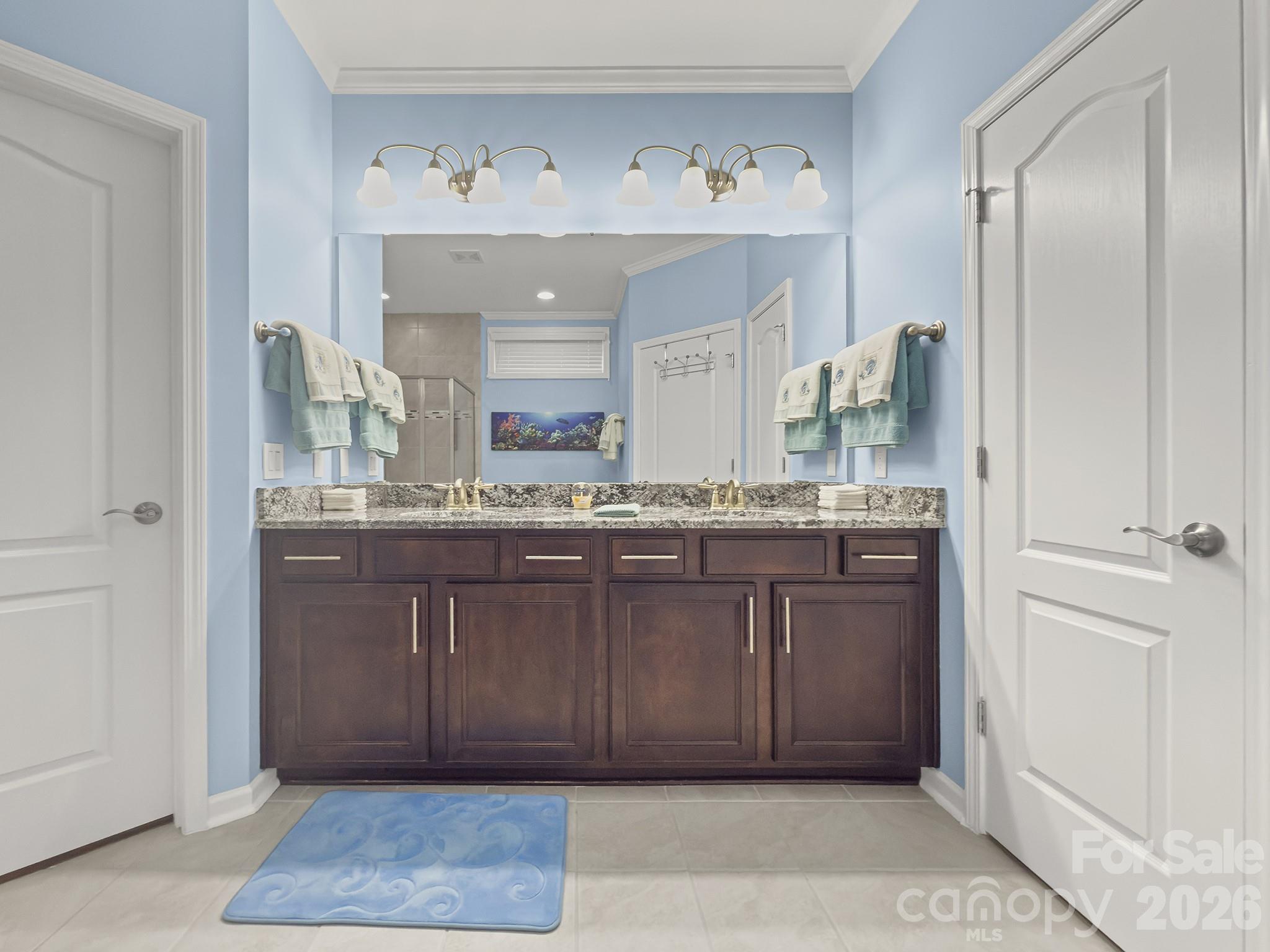 685 Birchway Drive Fort Mill SC 29715
