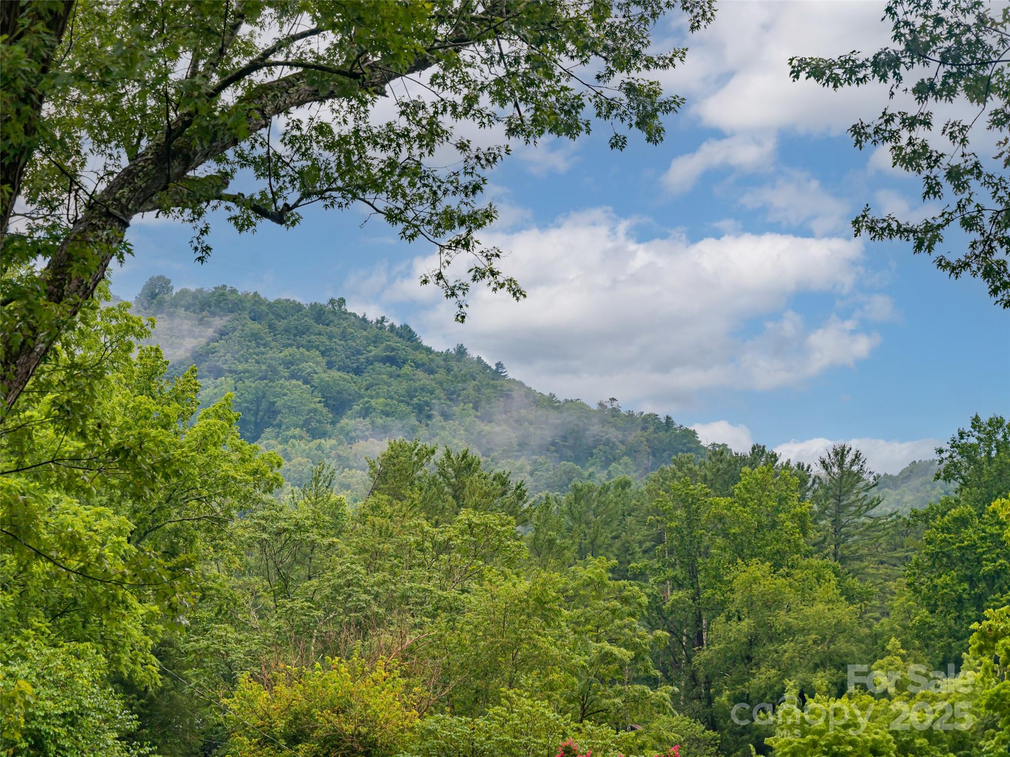 3 Valley Lane Asheville NC 28804