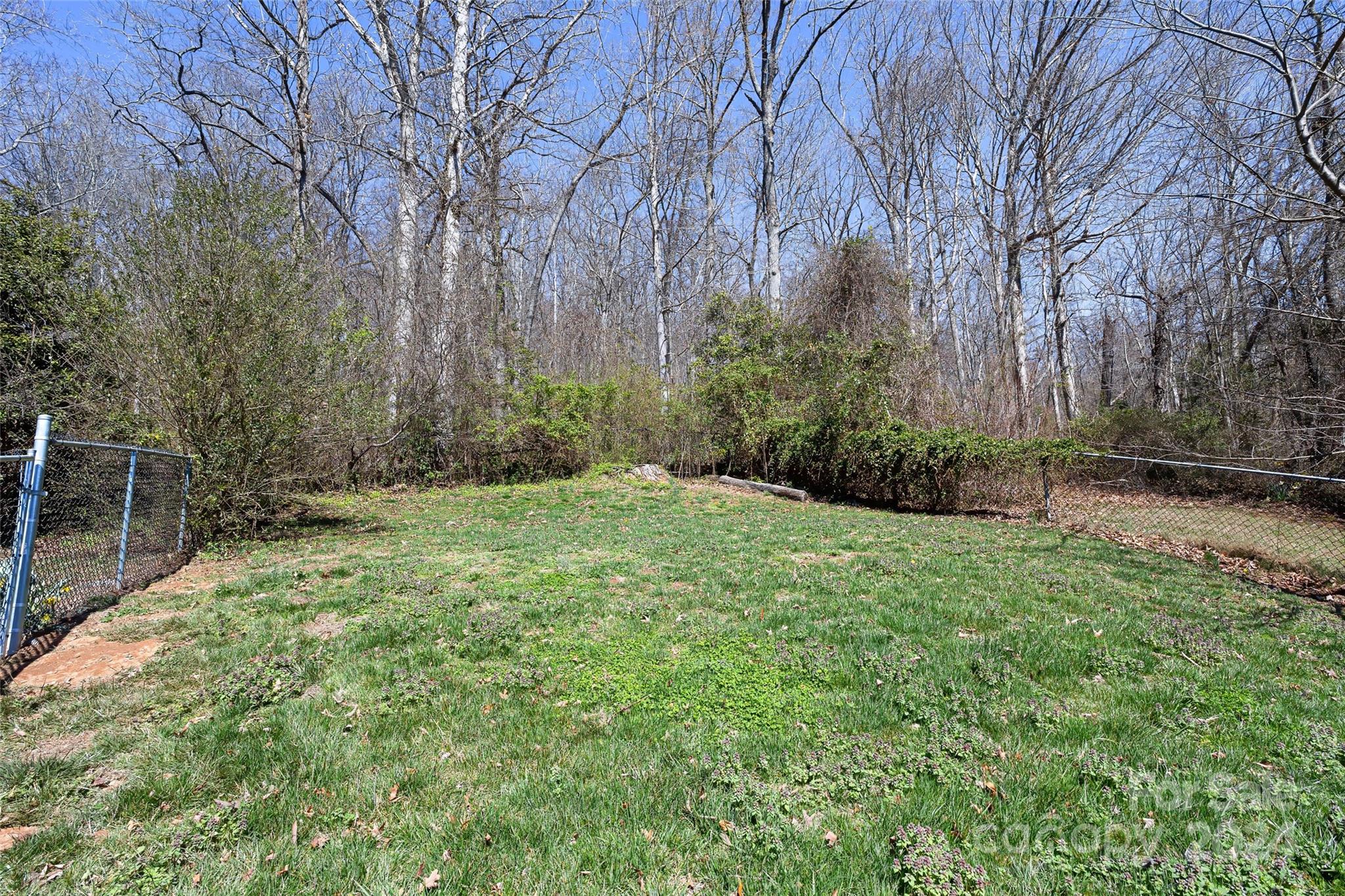 53 Braddock Way Asheville NC 28803