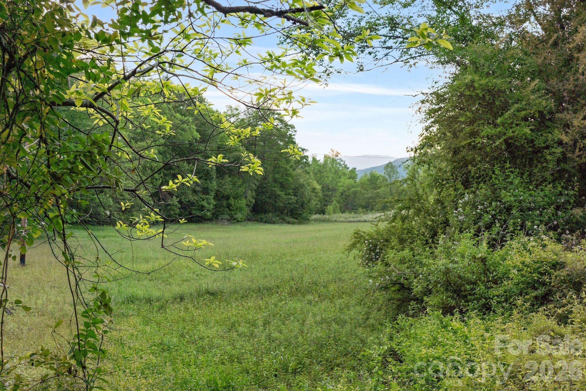 415 Reel Hollow Road Marion NC 28752