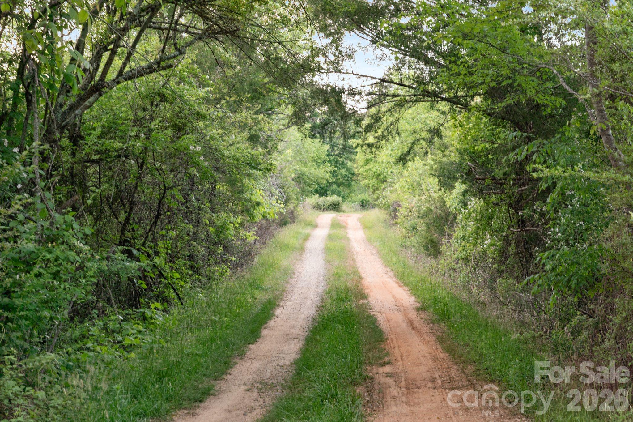 415 Reel Hollow Road Marion NC 28752