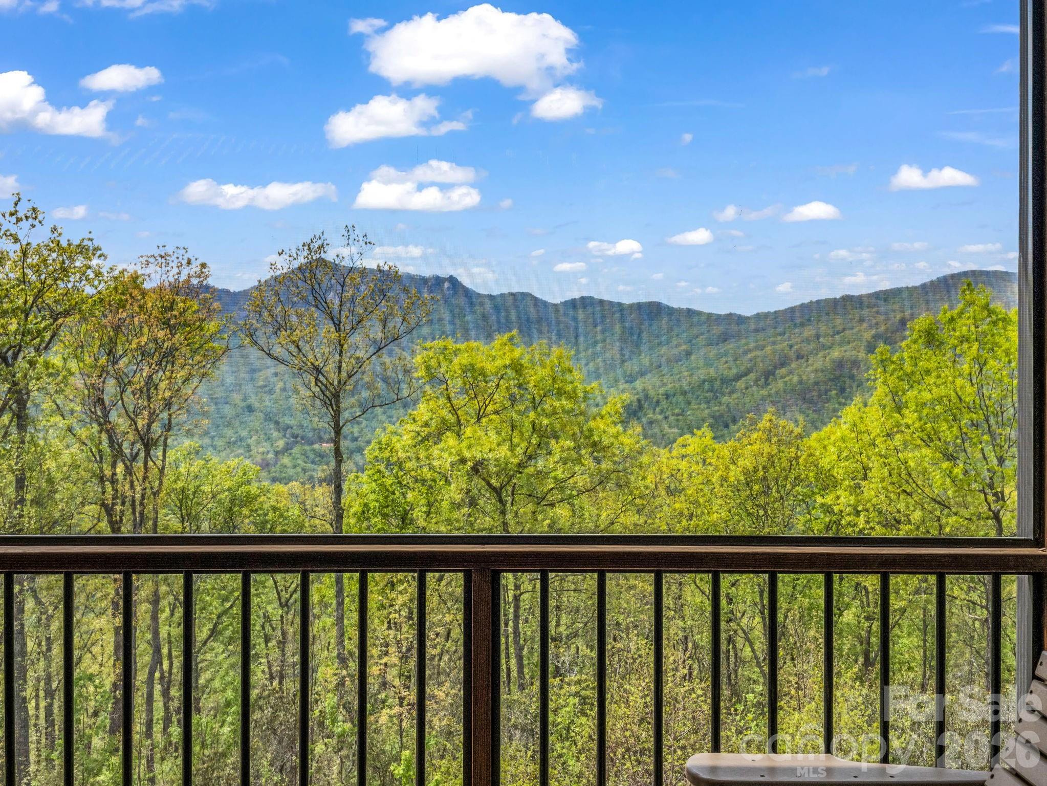 189 Tatanka Trail Lake Lure NC 28746