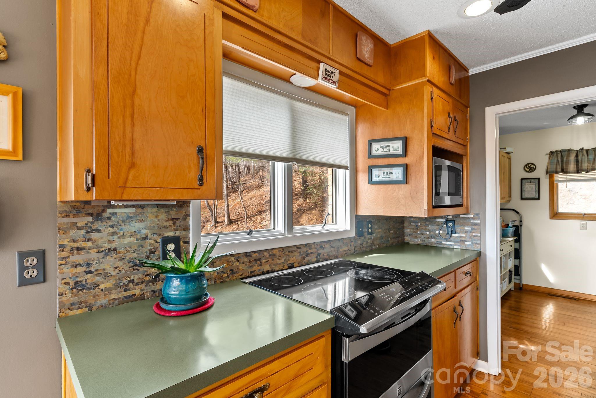60 Little Creek Drive Canton NC 28716