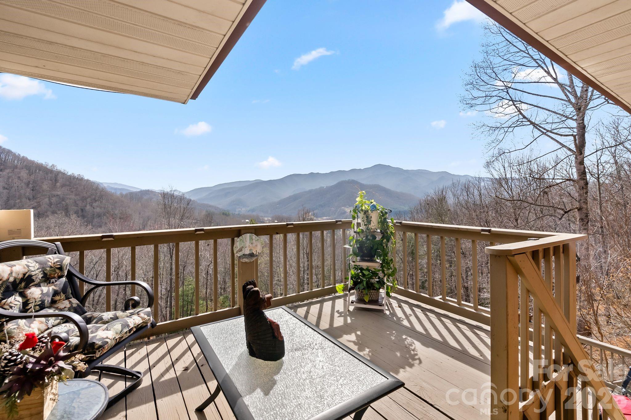 60 Little Creek Drive Canton NC 28716