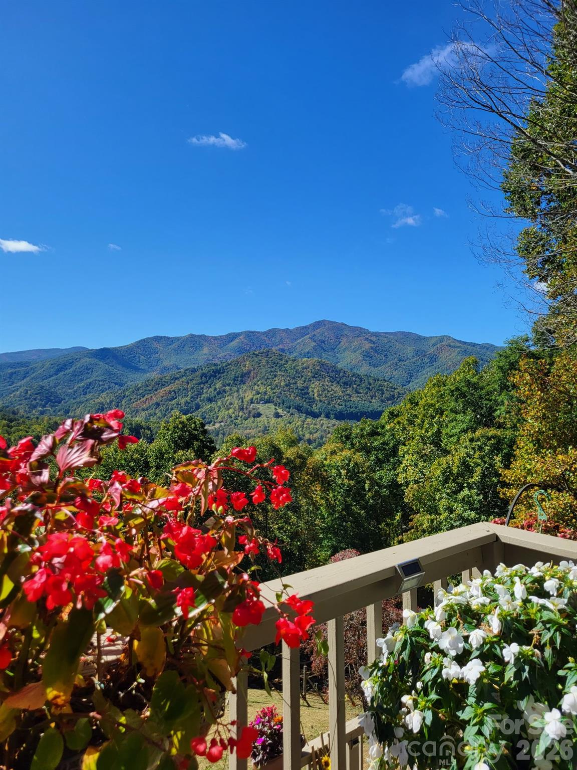 60 Little Creek Drive Canton NC 28716