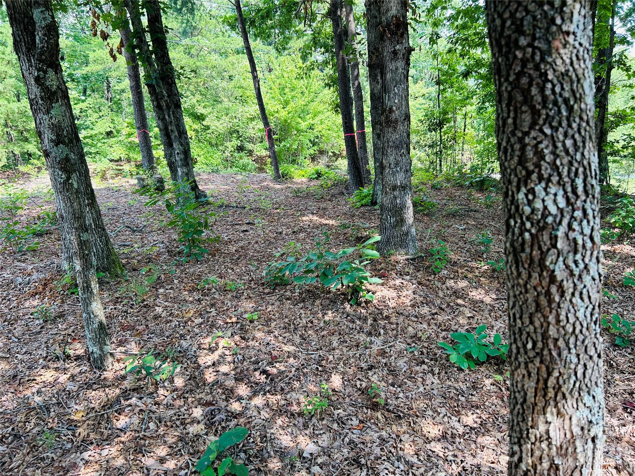 8799 Lisa Trail Connelly Springs NC 28612