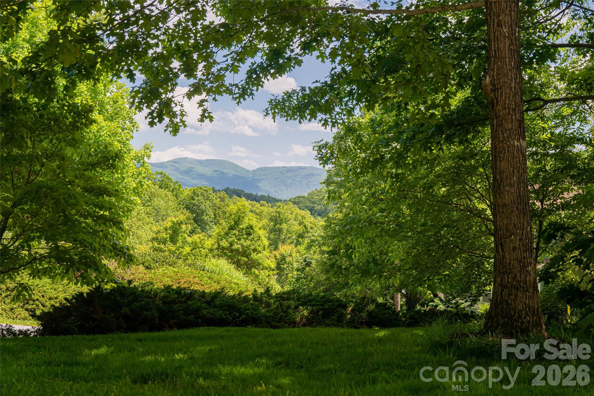 20 East Owl Creek Lane Fairview NC 28730