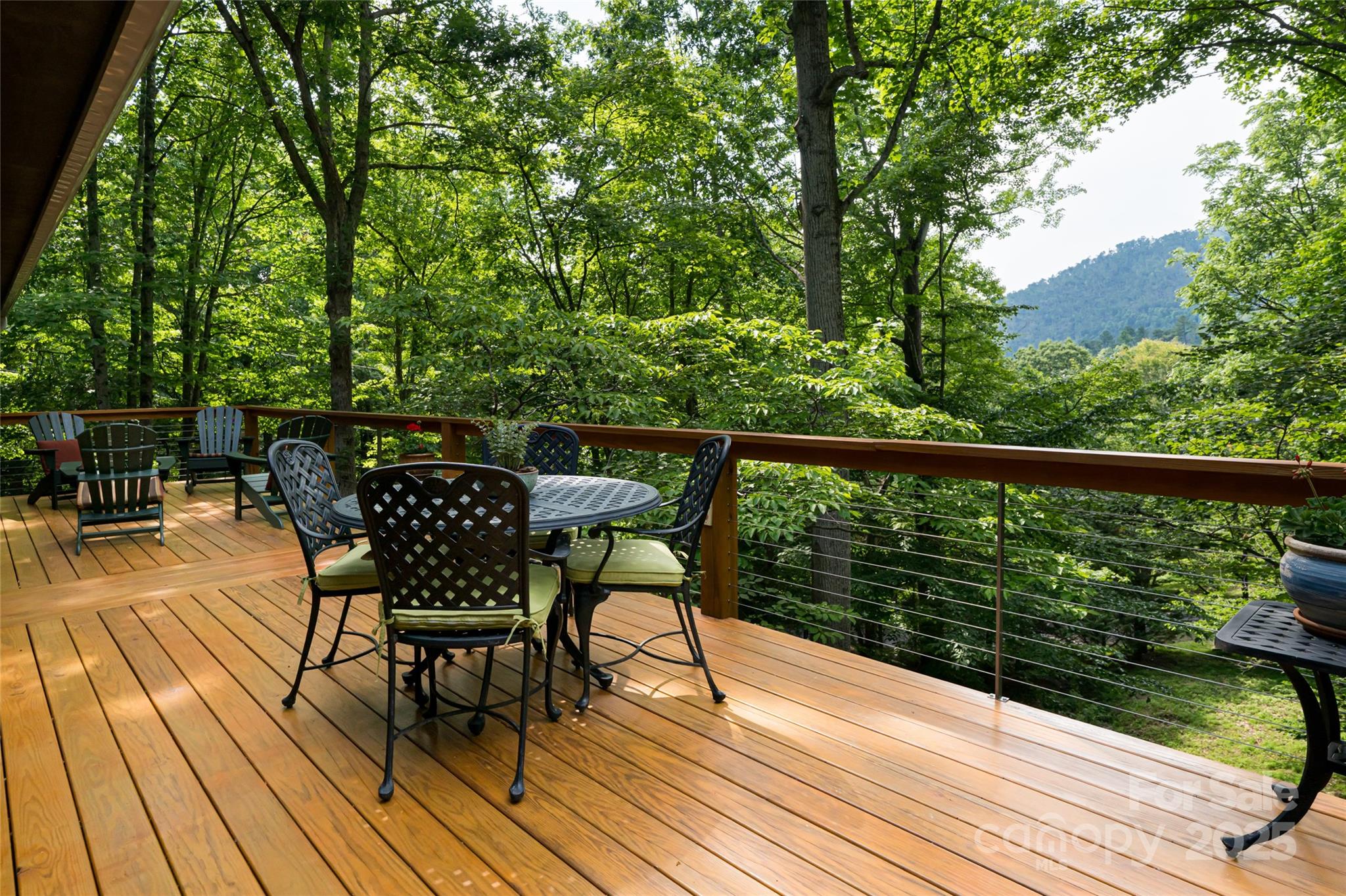 12 Beech Tree Lane Asheville NC 28804