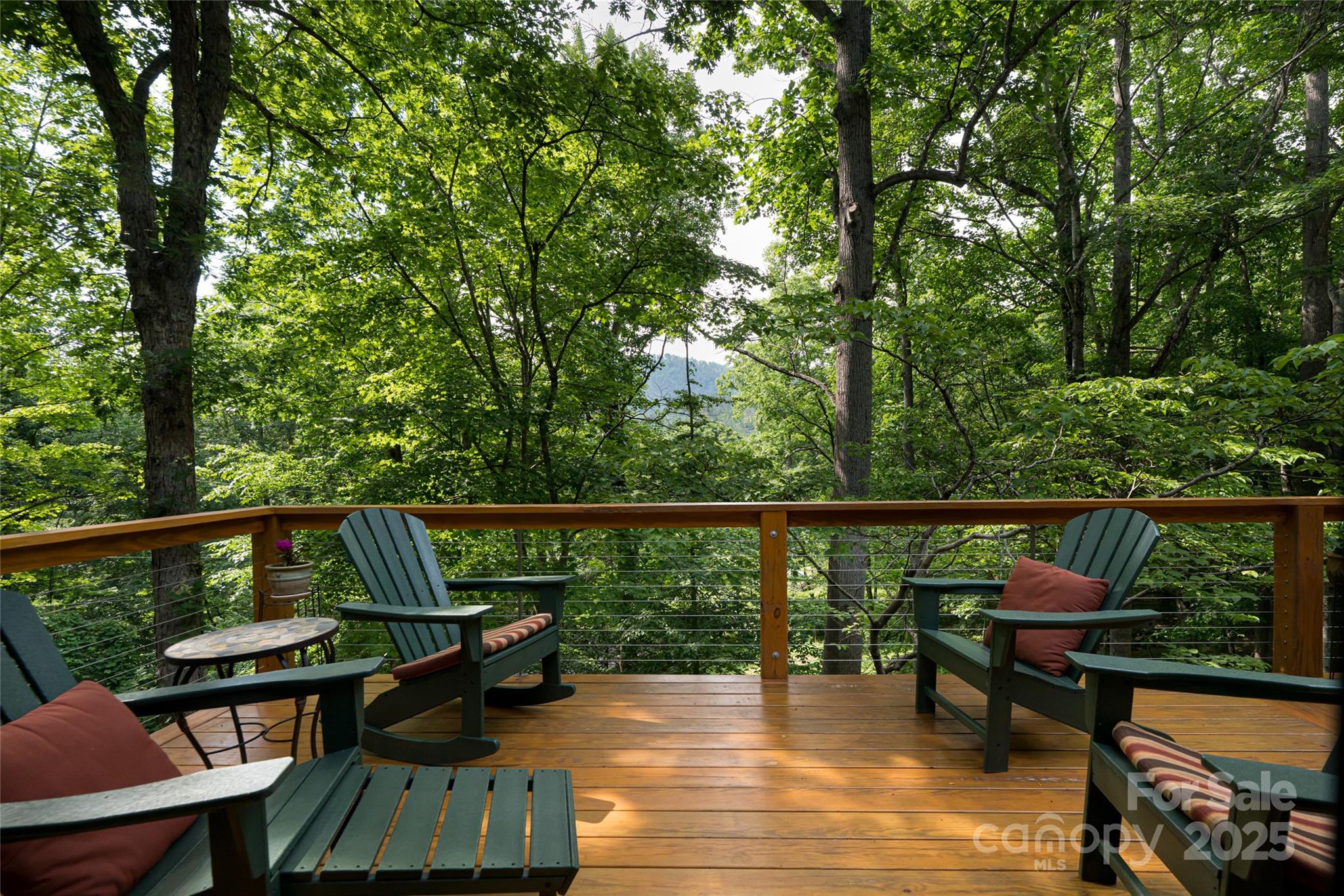 12 Beech Tree Lane Asheville NC 28804