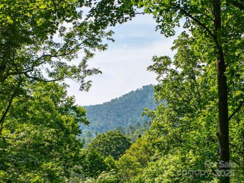 12 Beech Tree Lane Asheville NC 28804