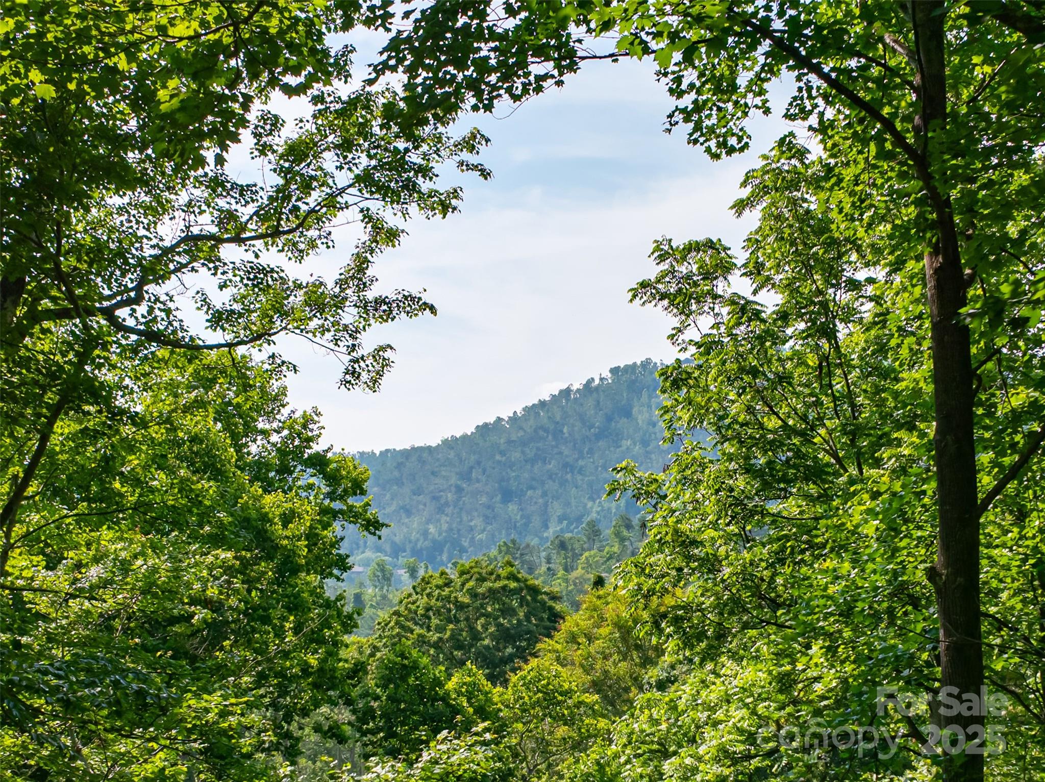 12 Beech Tree Lane Asheville NC 28804