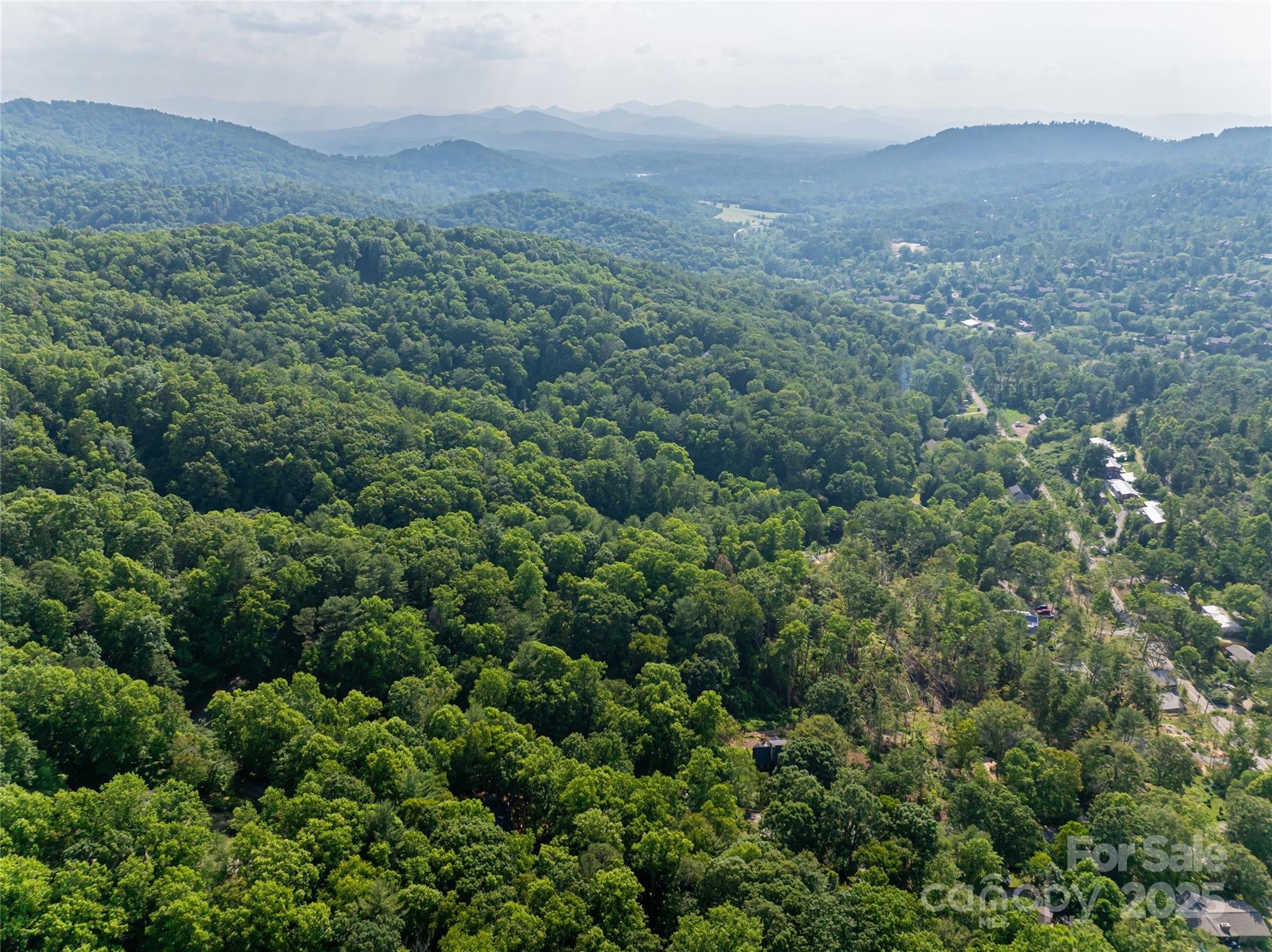 12 Beech Tree Lane Asheville NC 28804