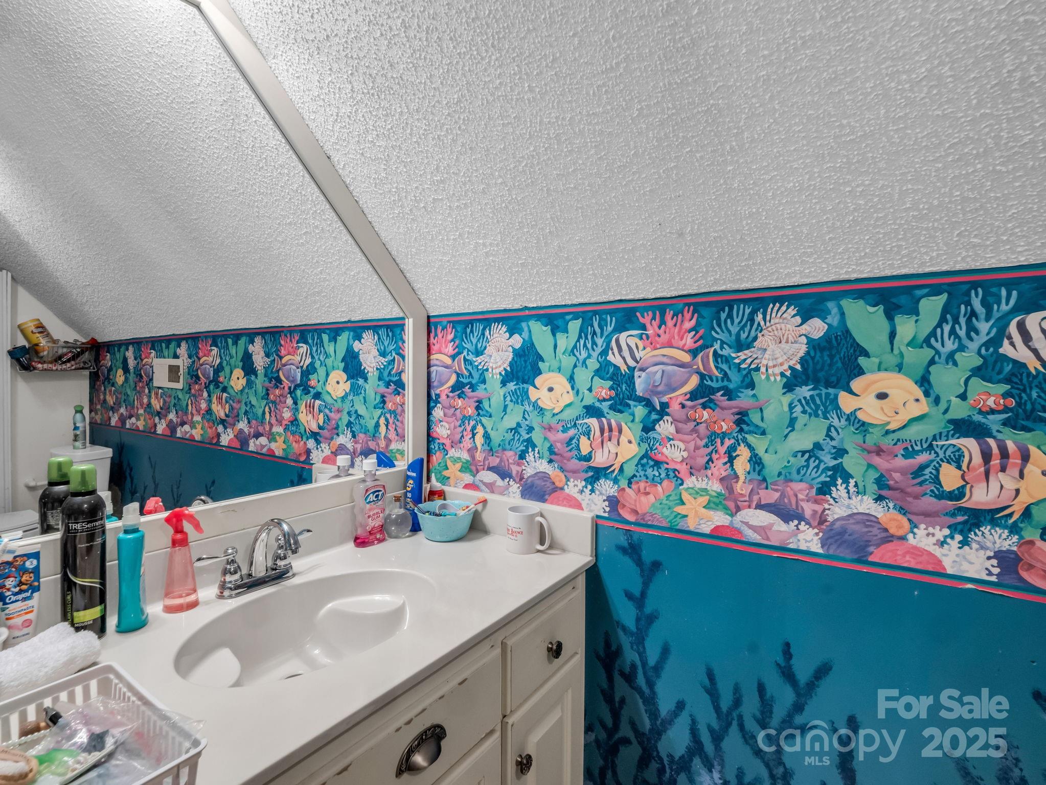 1102 S Mountain Road Bostic NC 28018