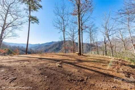 9999 Sourwood Road Canton NC 28716