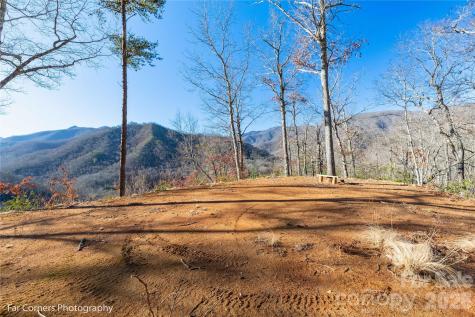 9999 Sourwood Road Canton NC 28716