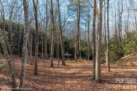9999 Sourwood Road Canton NC 28716