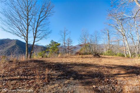 9999 Sourwood Road Canton NC 28716