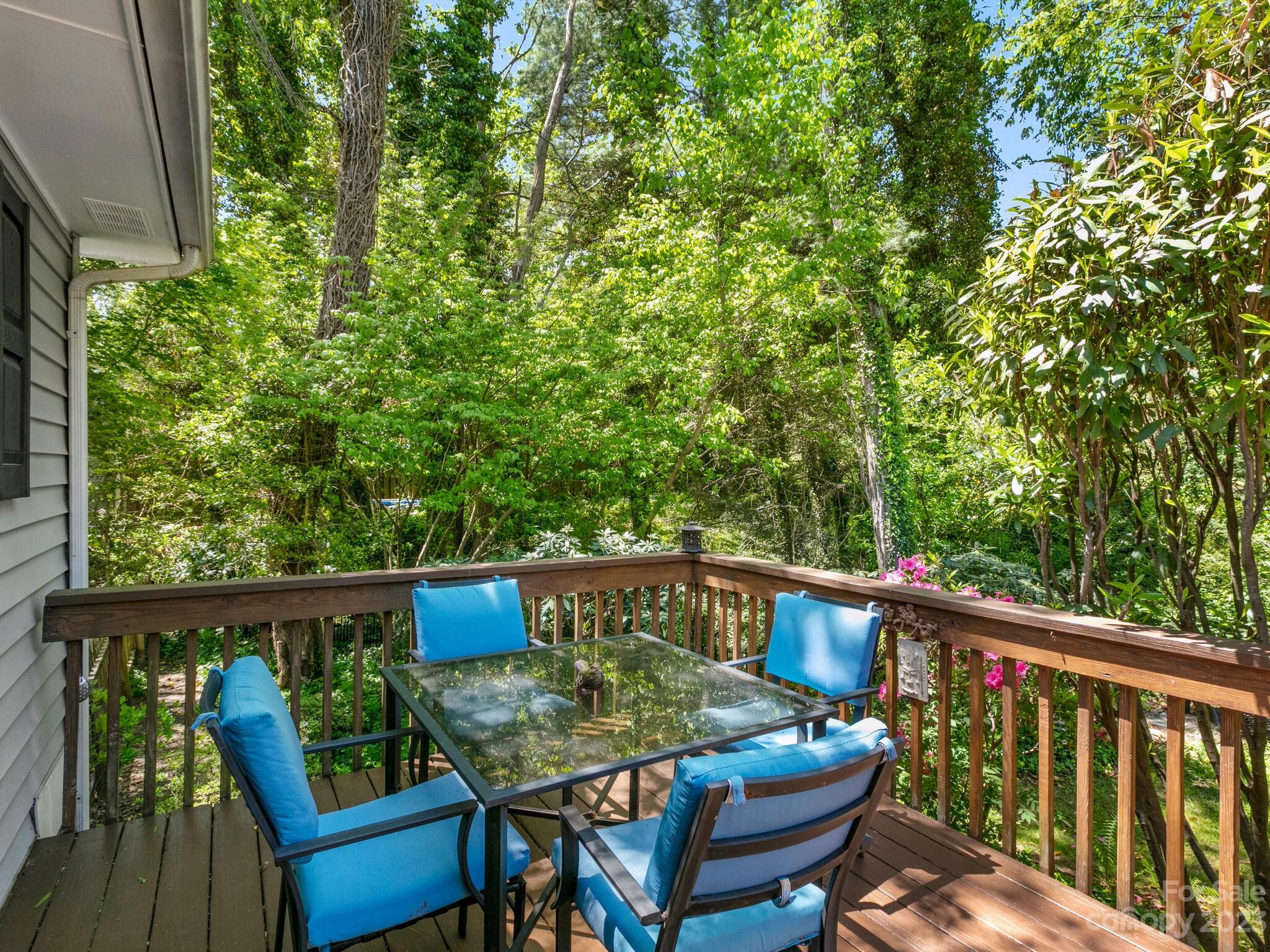 462 Old Haw Creek Road Asheville NC 28805