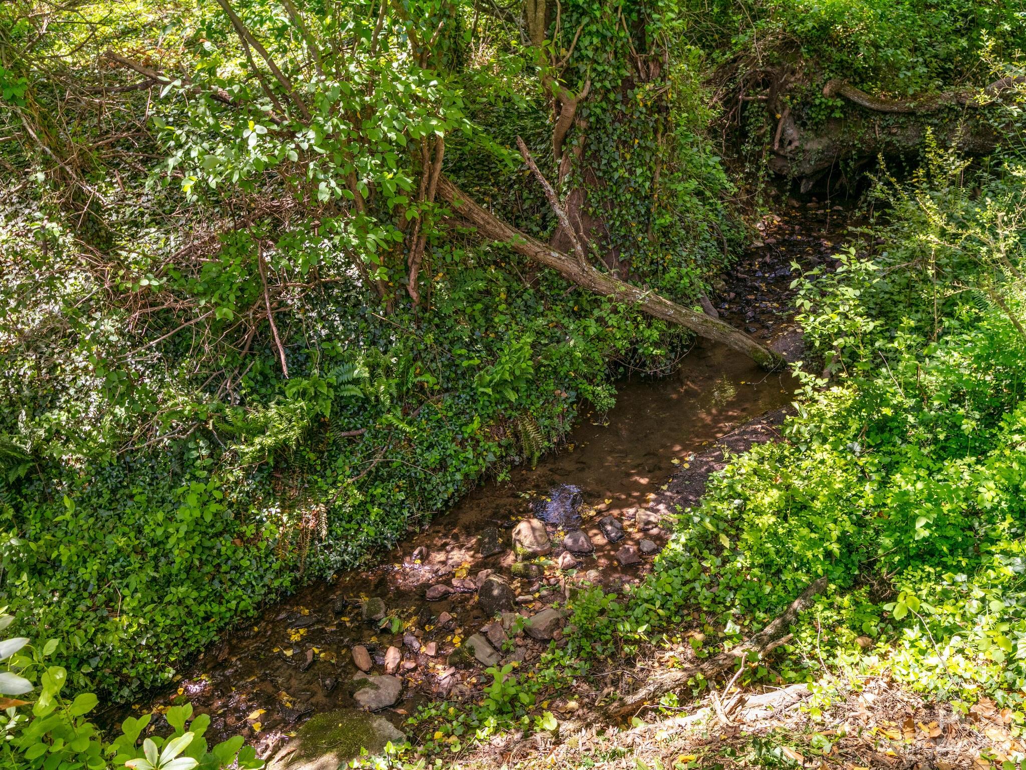 462 Old Haw Creek Road Asheville NC 28805