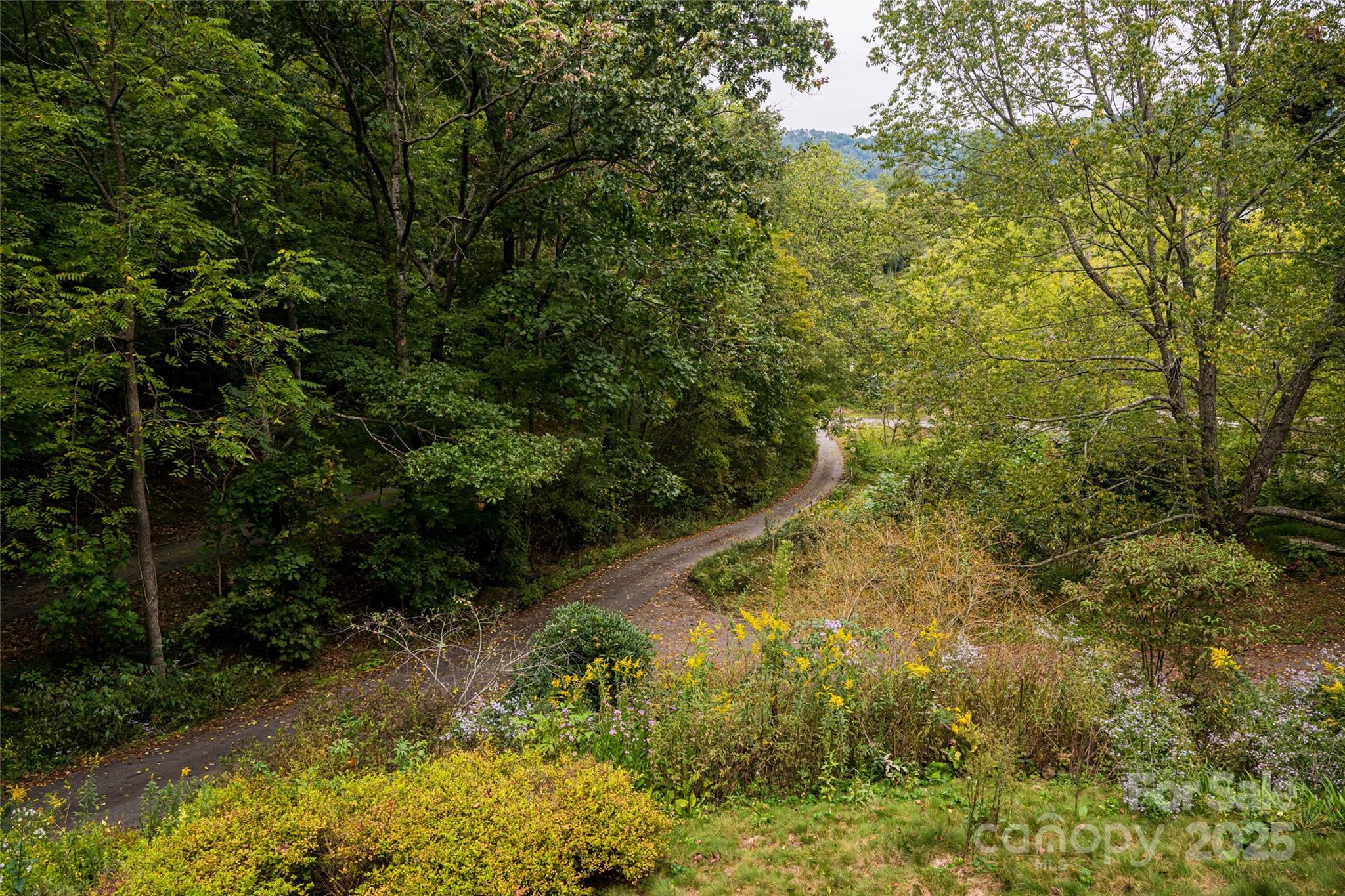 135 Spooks Branch Road Asheville NC 28804